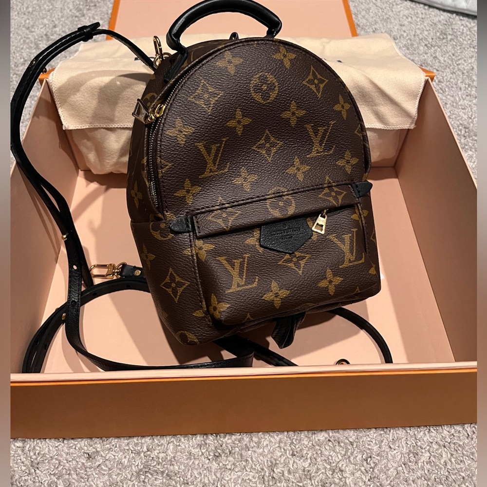 Louis Vuitton Palm Springs mini backpack/crossbody